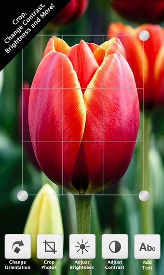 Imagen 1 para Photo Editor+