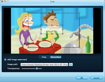 Image 1 for Firecoresoft SWF Converte…
