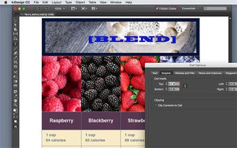 Image 0 for Adobe InDesign