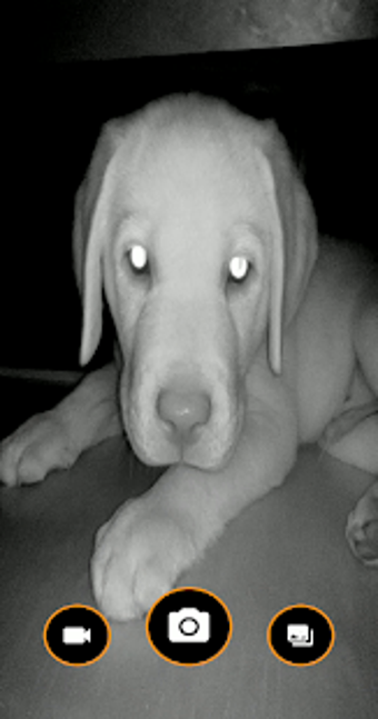 Image 1 for Pixel InfraRed Camera