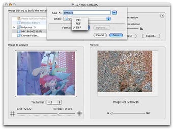 Image 2 for MozoDojo