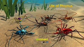 Image 0 for Life of Phrynus - Whip Sp…