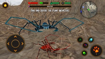 Image 2 for Life of Phrynus - Whip Sp…
