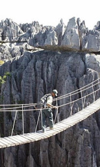 Image 1 for Wallpaper StoneForest Of …