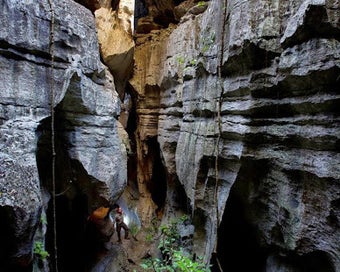 Image 3 for Wallpaper StoneForest Of …