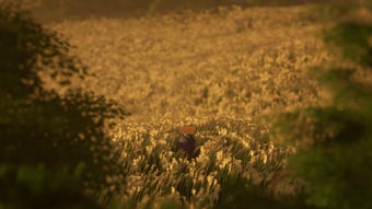 Imagen 0 para Ronin Trail
