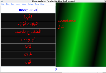 Image 0 for Arabic Runtime Environmen…