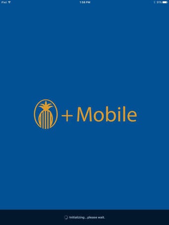 Image 0 for Mobile FSB for iPad