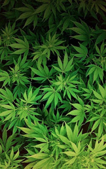 Image 2 for Weed Live Wallpaper