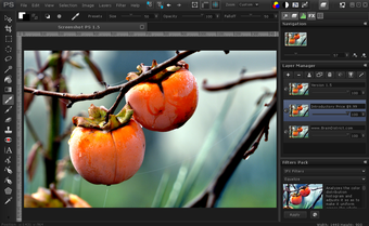 Imagen 0 para PaintSupreme for Windows