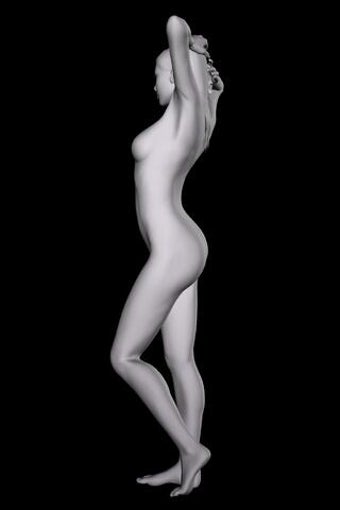 Image 0 for 360 Anatomy for Artists