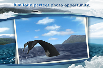 Image 0 for REAL WHALES Find the ceta…
