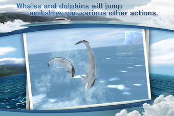 Image 0 for REAL WHALES Find the ceta…