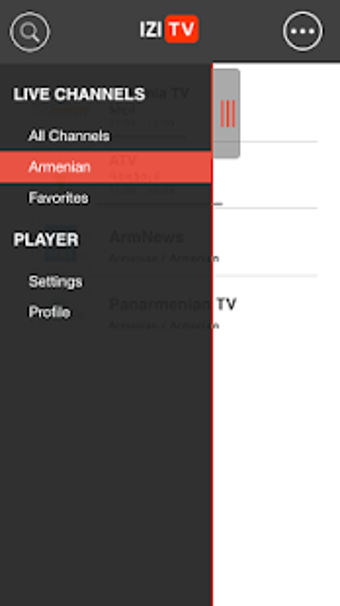Image 2 for IZITV