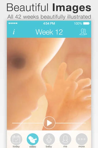 Image 0 for Pregnancy +