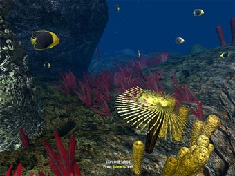 Imagen 2 para OceanDive