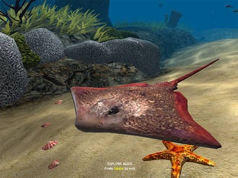 Imagen 3 para OceanDive