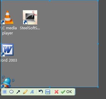 Image 0 for SteelSoftScreenShot