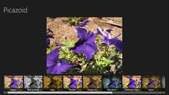Image 1 for Picazoid for Windows 8