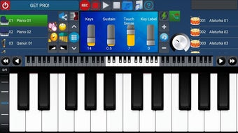 Image 1 for Portable ORG Keyboard