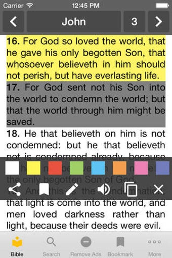 Image 0 for Bible KJV