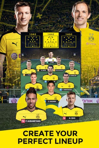 Image 0 for BVB Fantasy Manager 2017 …
