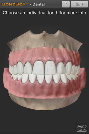 Image 0 for BoneBox - Dental Lite