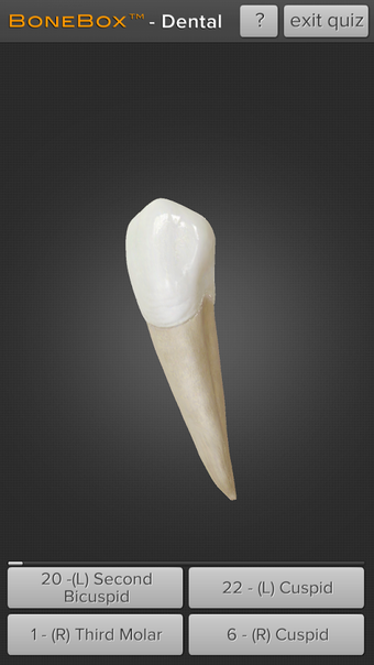 Image 1 for BoneBox - Dental Lite