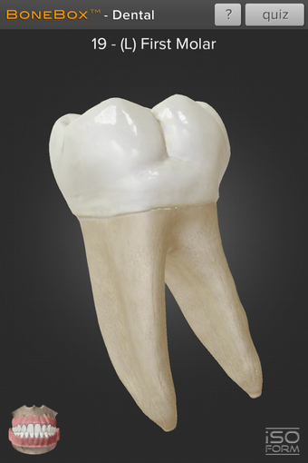 Image 1 for BoneBox - Dental Lite