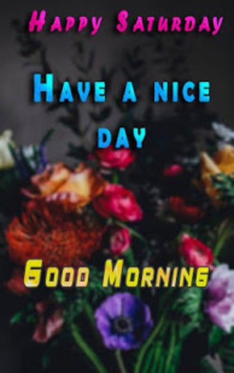 Image 0 for Good Morning Evening Nigh…