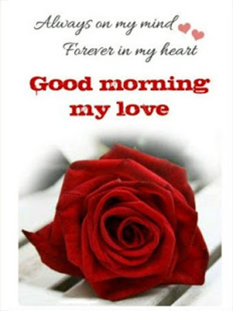 Image 1 for Good Morning Evening Nigh…