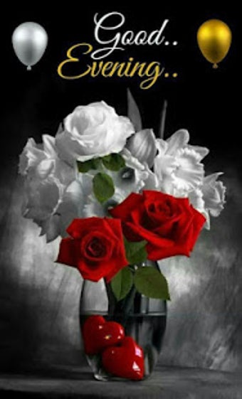 Image 3 for Good Morning Evening Nigh…