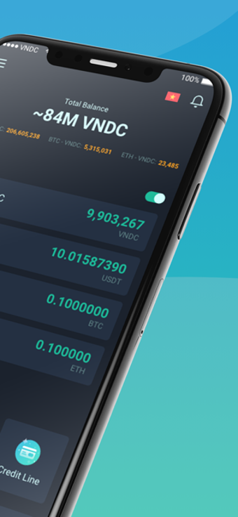 Image 2 for VNDC Wallet Pro
