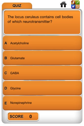 Image 3 for Neurology and RITE questi…