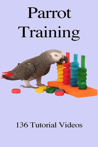 Image 0 for Parrot Training