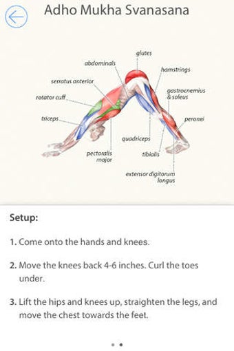 Image 0 for 3D Yoga Anatomy Lite