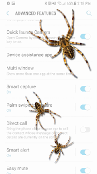 Image 3 for Spider on screen - prank