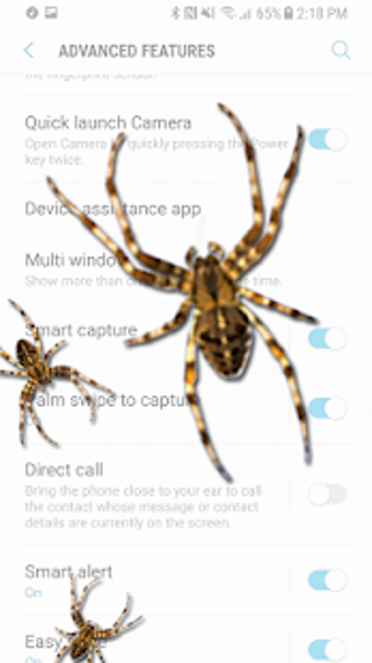 Image 2 for Spider on screen - prank