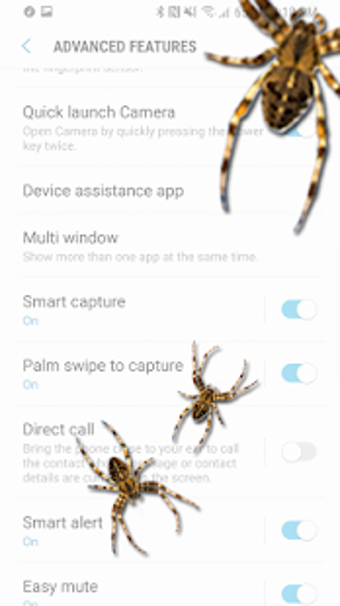 Image 0 for Spider on screen - prank