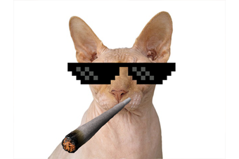 Imagen 2 para Thug Life Photo Maker