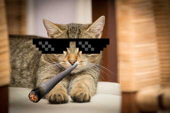 Imagen 1 para Thug Life Photo Maker