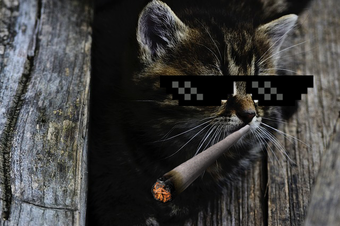 Imagen 0 para Thug Life Photo Maker