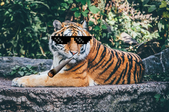 Imagen 3 para Thug Life Photo Maker