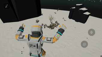 Image 0 for Kodii Sandbox