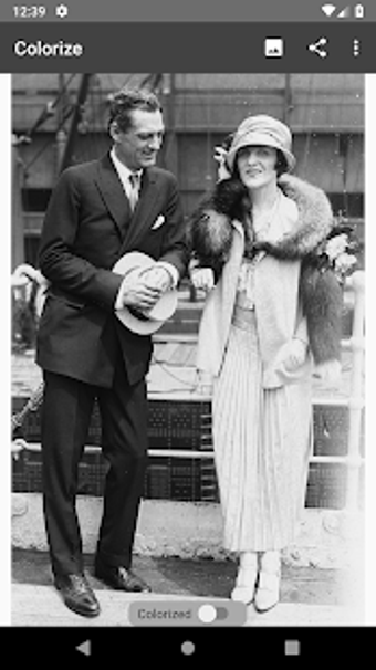 Image 1 for Colorize Images
