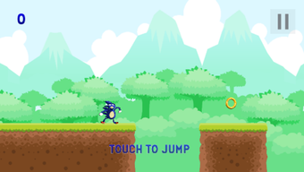 Image 0 for Sanic