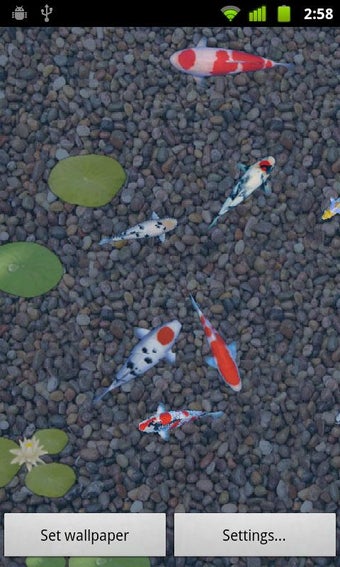 Imagen 1 para aniPet Koi Live Wallpaper
