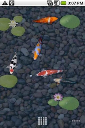 Imagen 5 para aniPet Koi Live Wallpaper