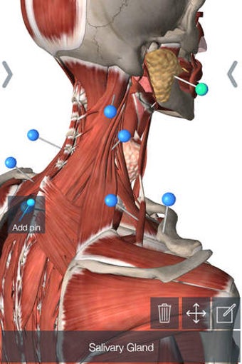 Image 0 for Essential Anatomy 5