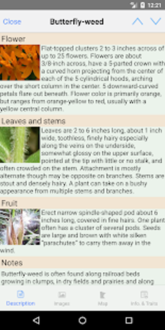 Image 0 for Minnesota Wildflowers Inf…